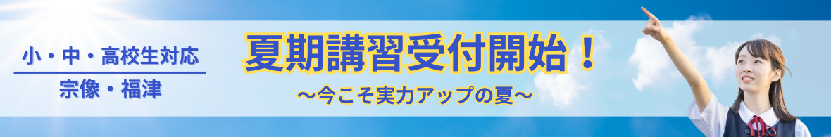 プロナビの夏期講習